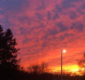 Meet your Posher, Kylei